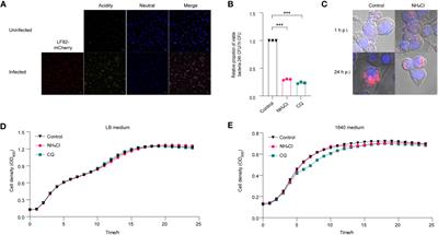 Response mechanisms to acid stress promote LF82 replication in macrophages